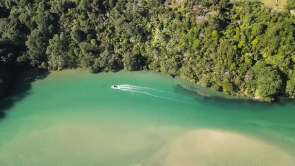 ニュージーランドのコロマンデル半島のターコイズブルーの海を駆けるボート — ストック動画