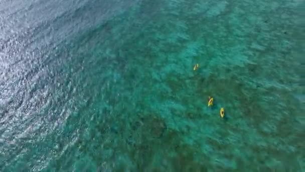 Kayakers Τέλεια Ηλιόλουστη Μέρα Paddling Μέσω Σούπερ Σαφές Τροπικό Μπλε — Αρχείο Βίντεο