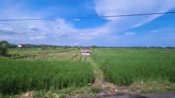 Οδήγηση Από Rice Fields Countryside Του Νησιού Μπαλί Ινδονησία Πράσινο — Αρχείο Βίντεο