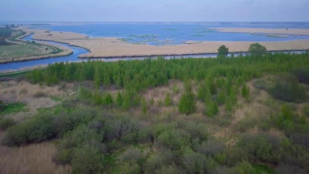 Vista Aerea Del Lago Ricoperto Canne Marroni Acqua Blu Lago — Video Stock