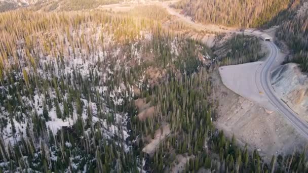 Empurrando Para Frente Rastreando Florestas Nacionais Rio Grande Colorado — Vídeo de Stock