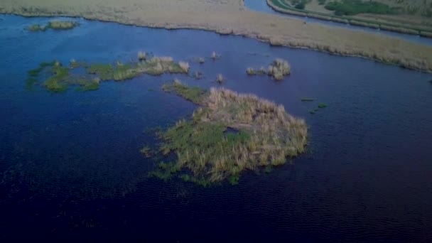空中鸟瞰着长满褐色芦苇和蓝水的湖面 湖面是拉脱维亚的丽帕雅 阳光明媚 天气晴朗 无人驾驶飞机广角镜头向前移动 摄像机倾斜下来 — 图库视频影像