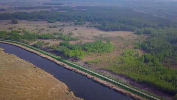 Luftaufnahme Des Mit Braunem Schilf Und Blauem Wasser Bewachsenen Sees — Stockvideo