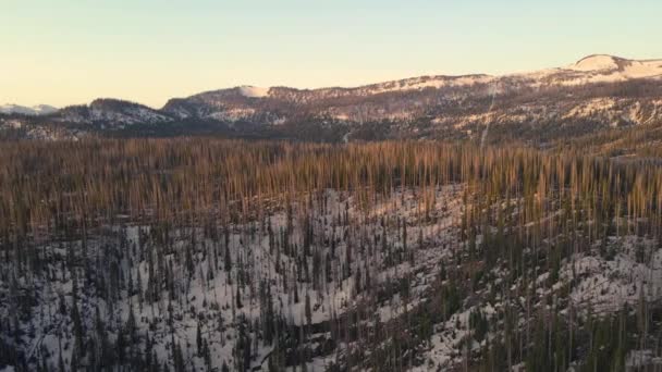 Sunny Pan Rio Grande National Forest Early Spring Southern Colorado — Stock Video