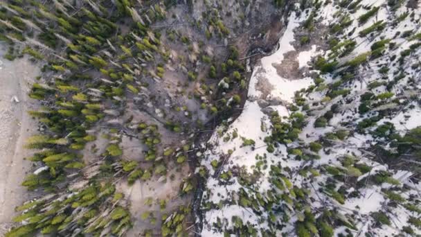 コロラド州南部の国立公園を流れるリオグランデ川の鳥の目のトラック — ストック動画
