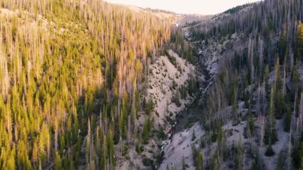 Water Fall Rio Grande National Forest Early Morning Early Spring — Wideo stockowe