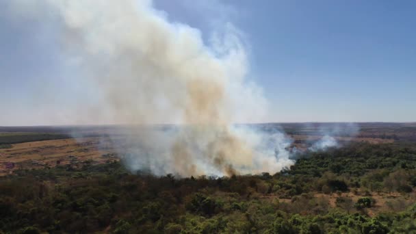 Aerial View Fire Cerrado Biome Native Forest Fire Danger Deforestation — Wideo stockowe