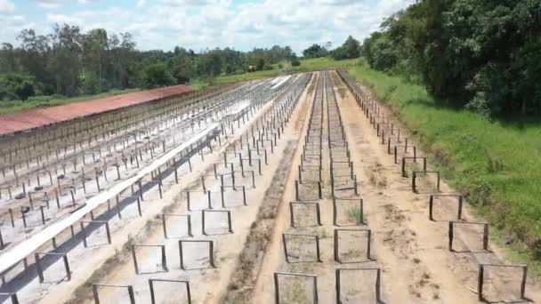 Aerial View Sun Dried Cassava Starch Field Solar — Vídeo de Stock