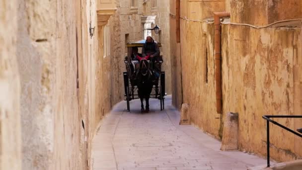 Passeio Carruagem Cavalo Recreativo Ruas Estreitas Mdina Malta — Vídeo de Stock