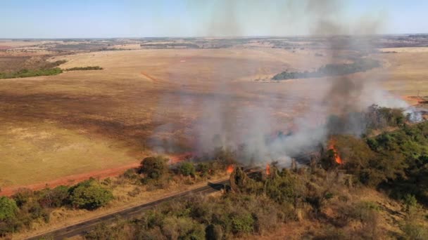 高速公路旁的丛林大火 危险的空中景象 — 图库视频影像