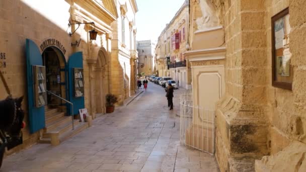 Horse Carriage Riding Vibrant Streets Mdina Sunny Hot Day Handheld — Stock Video