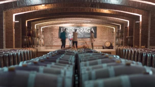 Time Lapse Cellars Undurraga Winery Heritage Barrels People Walking Corridors — Stockvideo