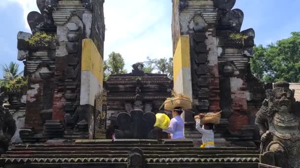 Kafasında Sepet Olan Bali Kadınları Antik Hindu Tapınağı Nın Kapısından — Stok video