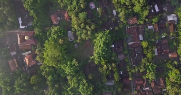 印度尼西亚马格朗的种植园 村庄和稻田的农村景观 印度尼西亚是一个农业国 4K空中录像 — 图库视频影像