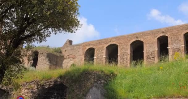 Das Äußere Des Antiken Circus Maximus Auf Den Pfälzer Hügeln — Stockvideo