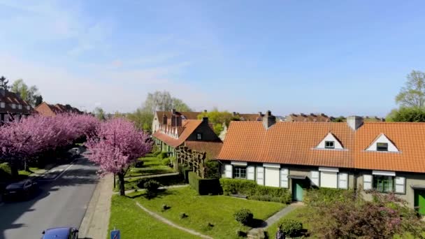 Widok Ogród Zielony Kwartał Kwiatowy Belgii Podróże Lotnicze — Wideo stockowe