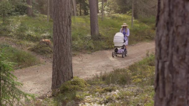 Einsame Mutter Mit Kinderwagen Wald Statischer Schuss Auf Goldene Stunde — Stockvideo