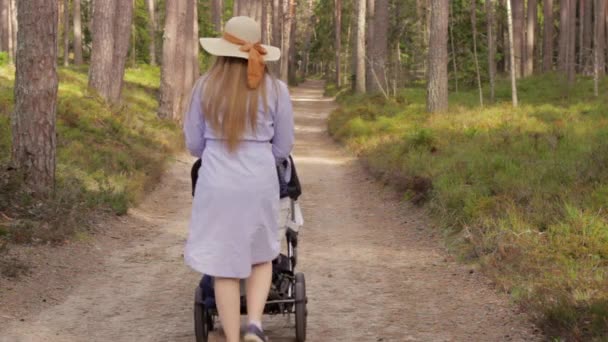 Young Female Stroller Walks Forest Road Casual Purple Dress — Wideo stockowe