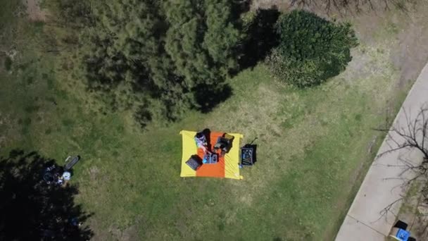 Gente Disfrutando Del Tiempo Libre Parque Verde Con Hierba Árboles — Vídeos de Stock