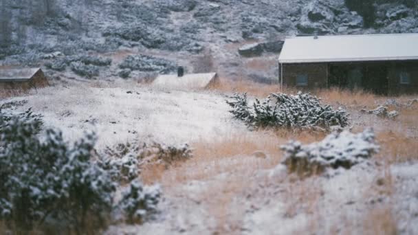 光の最初の雪は 枯れた草 木製のキャビンの屋根に落ちます スローモーション — ストック動画