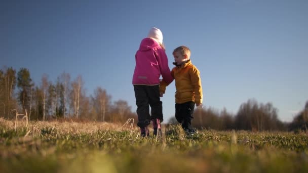 Young Siblings Walking Rural Field Together Slow Motion View — Stock video