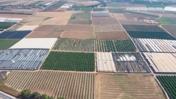 Campos Verdes Distrito Sulista Israelense Sdot Negev — Vídeo de Stock