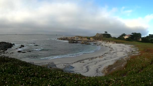 Lente Monterey California Commerciële Vissersboten Zeehonden Ijsplanten — Stockvideo