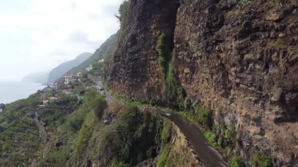 Waterfall Middle Road Madeira Shot Dji — Stockvideo
