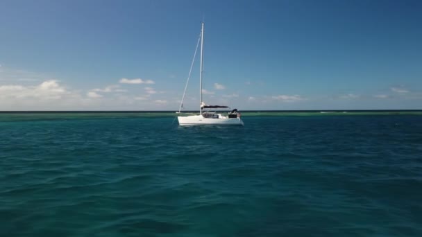 Low Aerial Parallax Sailboat Moving Tropical Island Isle Pines — 비디오