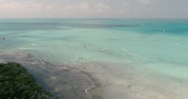 Kite Safari Caribbean Best Spot Kiters Sailing Shallow Water Aerial — Stockvideo