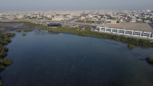 Drone Kilátás Ajman Mangroves Golfpálya Nevezik Zorah Egyesült Arab Emírségek — Stock videók