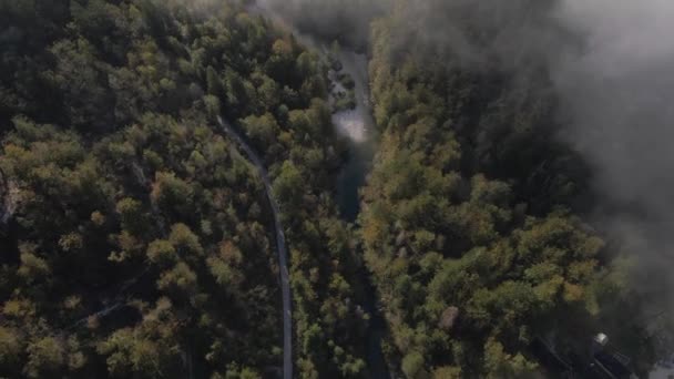 Horská Cesta Řeka Procházející Věčně Zeleným Lesem Mlhou Dopoledních Hodinách — Stock video