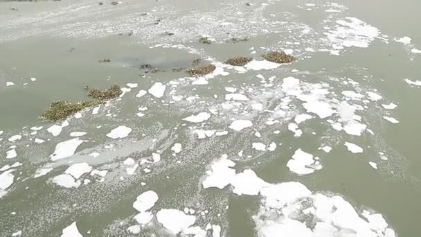 Chemical Foam Floats Yamuna River New Delhi — Stock Video