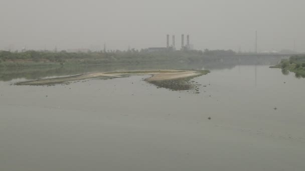 Baixo Nível Água Foi Observado Rio Yamuna Poluído Dia Quente — Vídeo de Stock