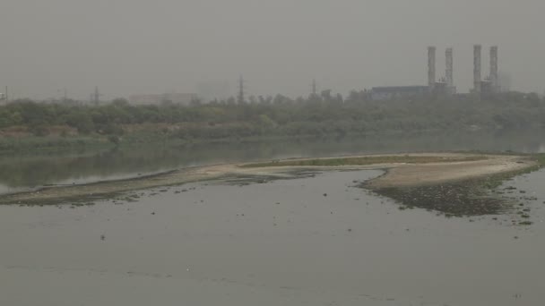 Yeni Delhi Hindistan Sıcak Bir Yaz Gününde Kirli Yamuna Nehrinde — Stok video