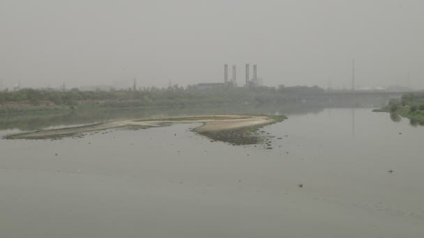 Yeni Delhi Hindistan Sıcak Bir Yaz Gününde Kirli Yamuna Nehrinde — Stok video