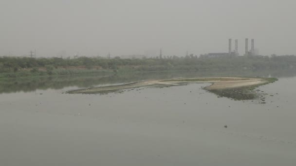 Yeni Delhi Hindistan Sıcak Bir Yaz Gününde Kirli Yamuna Nehrinde — Stok video