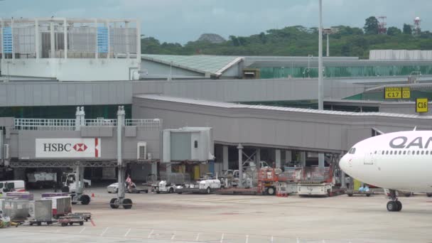 Airbus Qantas Airlines Arrive Aire Trafic Aéroport Changi Singapour Statique — Video