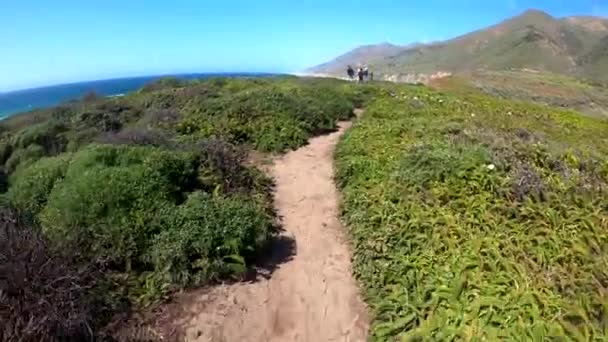 Big Sur Central Coast California — Stok video