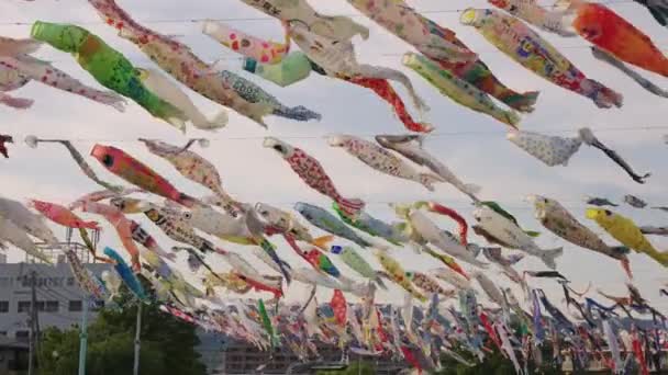 Cientos Cometas Carpa Koi Volando Viento Día Los Niños Japón — Vídeos de Stock