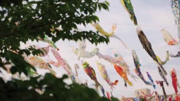 儿童节时 慢动作的鲤鱼风筝迎风飞翔 — 图库视频影像