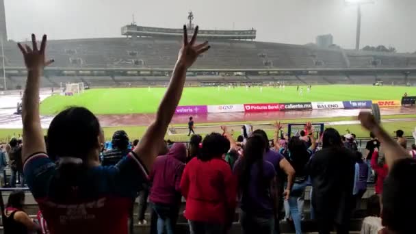 Público Entusiasmado Con Victoria Del Fútbol Liga Femenina Estadio Ciudad — Vídeo de stock