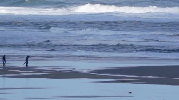 해변에서 파도를 사람들 — 비디오