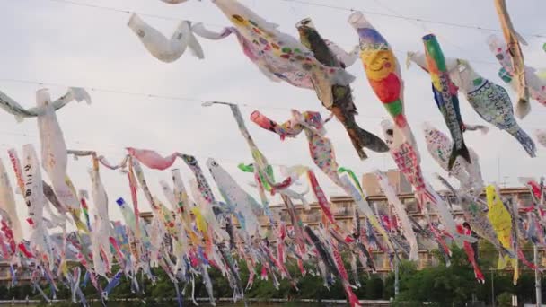 Carpa Volando Cometas Día Los Niños Durante Las Vacaciones Anuales — Vídeos de Stock