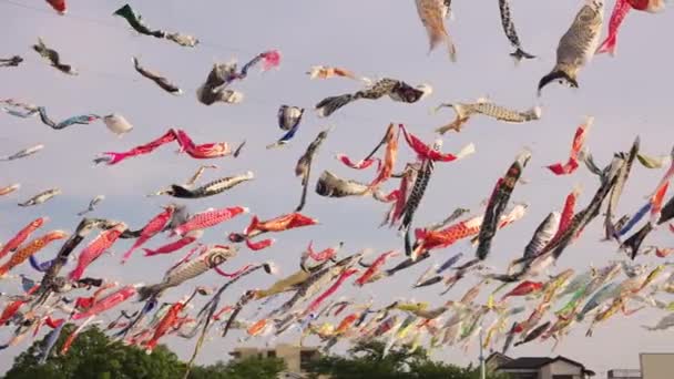 Rüzgarda Sazan Bayrakları Günbatımında Japonya Sahnesi — Stok video