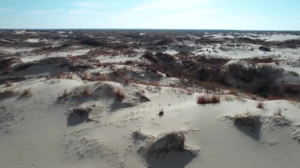 Drone Shot Desert Landscape Wasteland Monahans Sandhills State Park Texas — Stockvideo