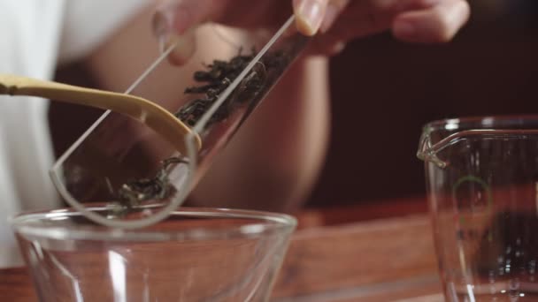 Femeia Asiatică Pune Frunze Ceai Verde Din Tava Sticlă Castron — Videoclip de stoc
