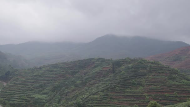 Гірський Краєвид Китайськими Зеленими Чайними Терасами Схилах Спекотний Дощовий День — стокове відео