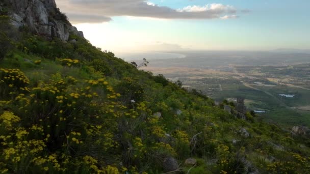 Lush African Hillside Yellow Flowers Reveal Scenic Bay Sunset Drone — Stock video