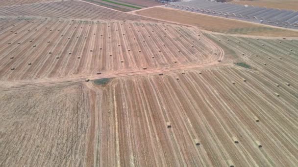 Strohfeld Von Oben Südlichen Bezirk Israels Sdot Negev — Stockvideo